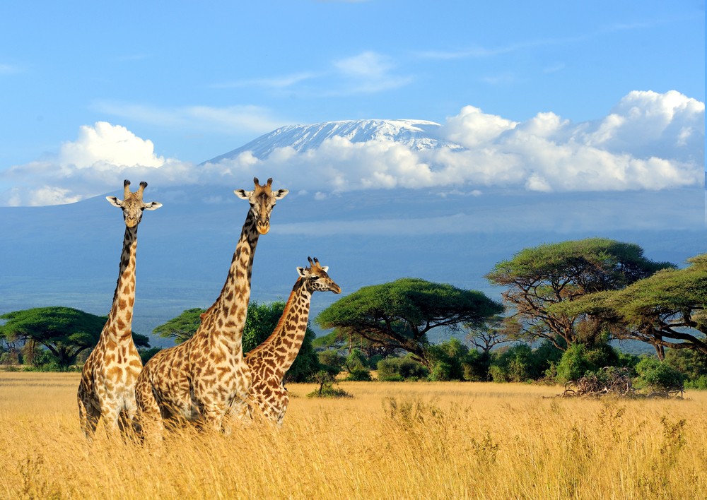 Mount Kilimanjaro